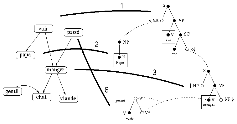 1. X[GN] voit que Y[P]. 2. X <- [GN: Papa]. 3. Y <- [P:
Z mange T]. 6. avoir-V-V* se greffe  *manger*.