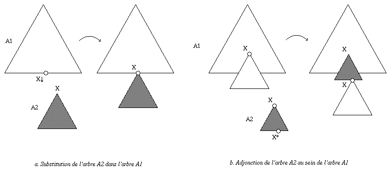 a. Subst : arbre A2 de tête X greffé sur une feuille X
de A1 ; b. Adj : arbre A2 de tête X ayant aussi une feuille X,
INTERCALÉ au niveau d'un noeud X non-terminal de A1