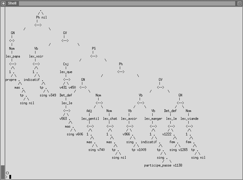 [P: [GN: [Nom: PAPA]][GV: [Vb: VOIR][PS: [Cnj: QUE][P:
[GN: [Def: LE][Nom: [Adj: GENTIL][Nom: CHAT]]][GV: [Vb: [Vb:
AVOIR][Vb: MANGER]][GN: [Def: LE][Nom: VIANDE]]]]]]]